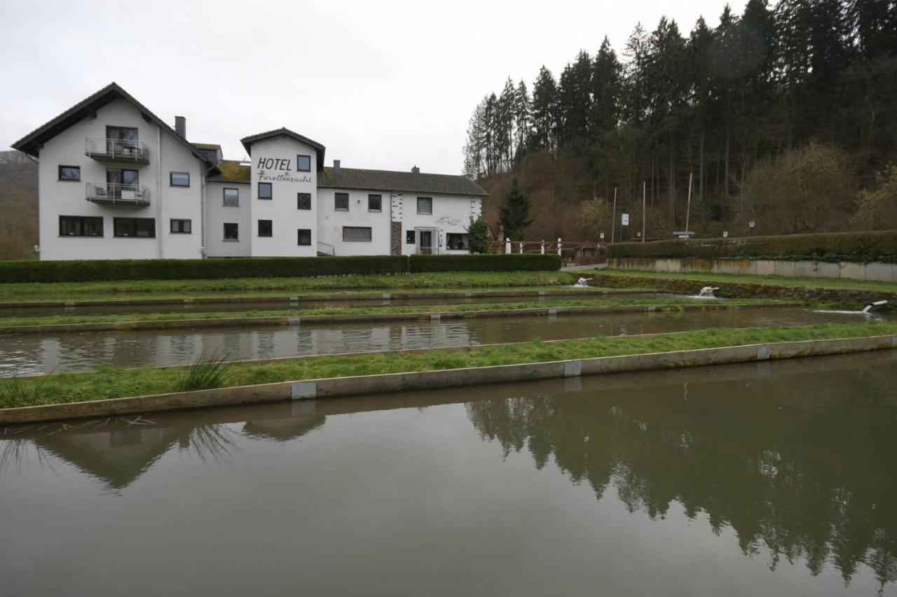 Zimmer Ohne Fruehstueck In Der Forellenzucht 布尔根 外观 照片