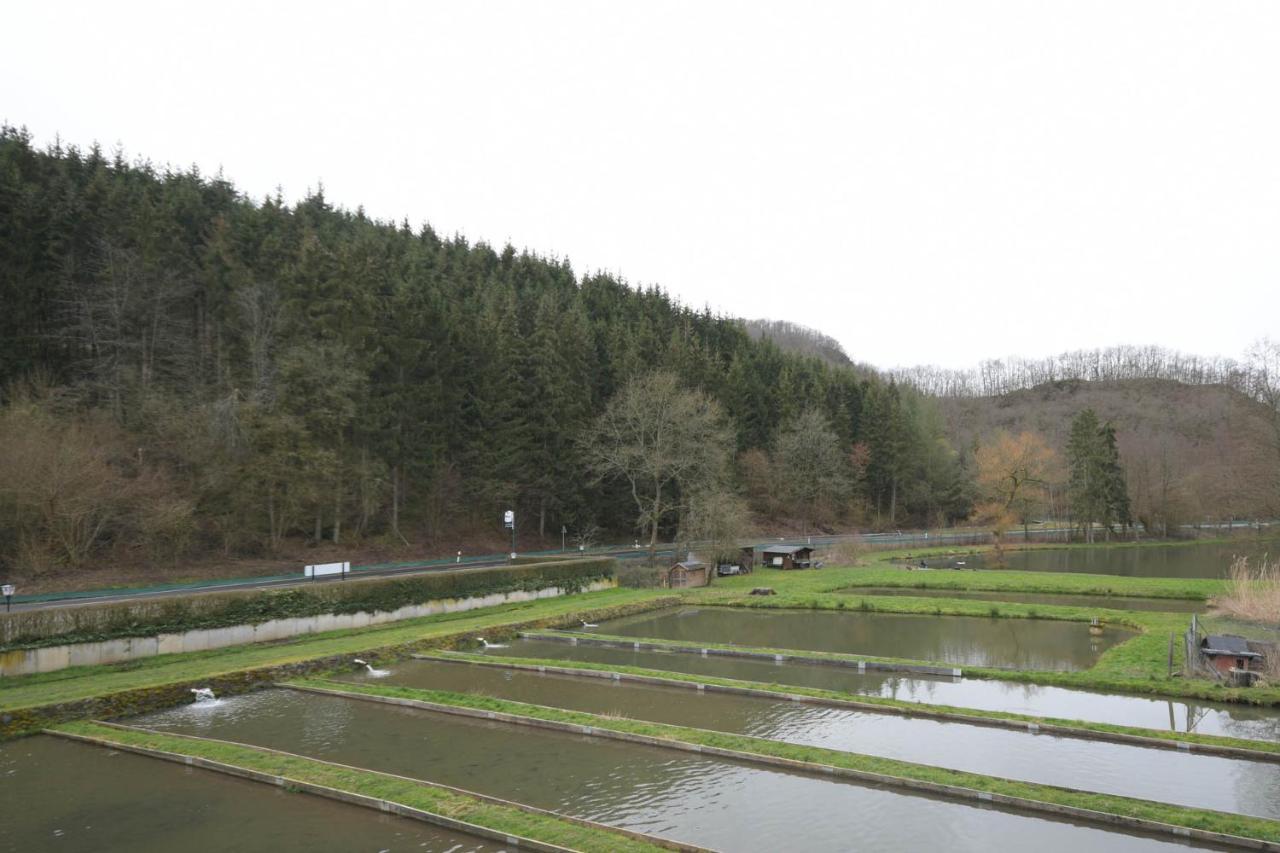 Zimmer Ohne Fruehstueck In Der Forellenzucht 布尔根 外观 照片