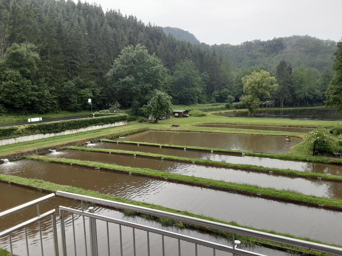Zimmer Ohne Fruehstueck In Der Forellenzucht 布尔根 外观 照片